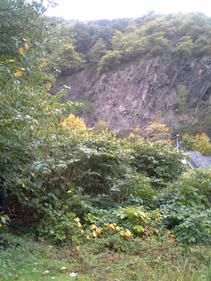 20171008_171409.jpg - Jura75