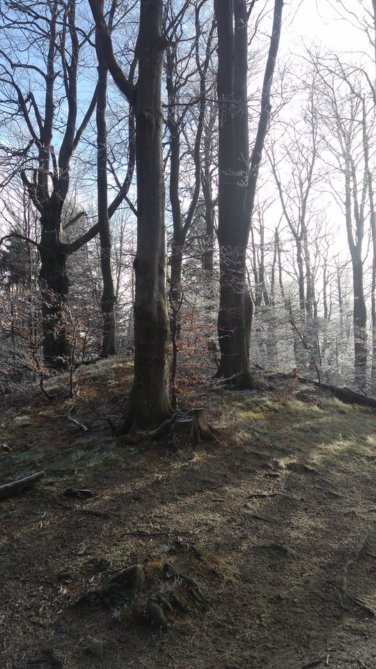 IMG_20181117_095010.jpg - StrongPecker