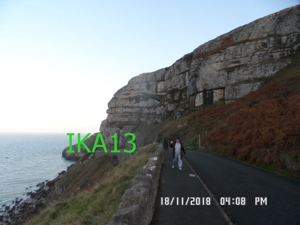 SAM_1731.JPG - ika13