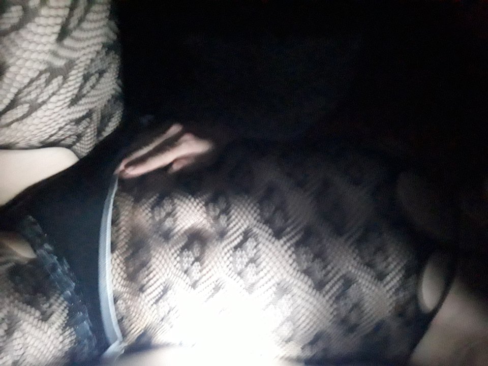 20181121_013345.jpg - Skaja1978