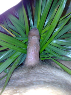 20090723313.jpg