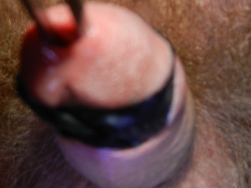 DSCN1388.JPG - janekoko4