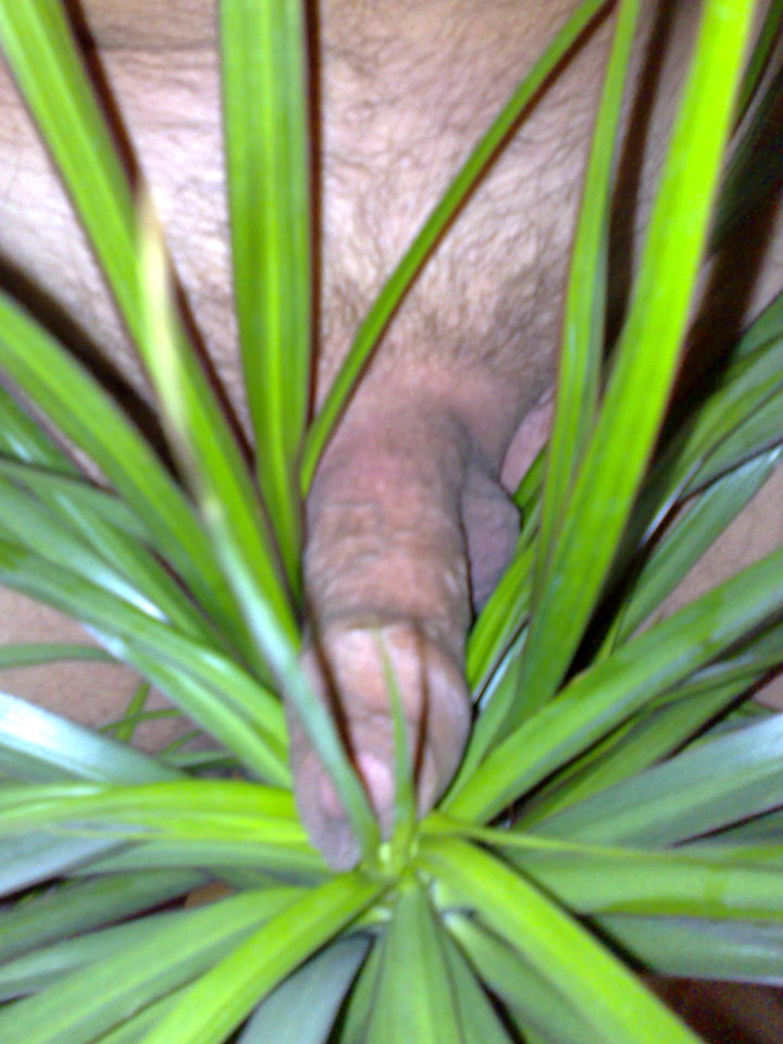 20090723314.jpg - Marcinwis