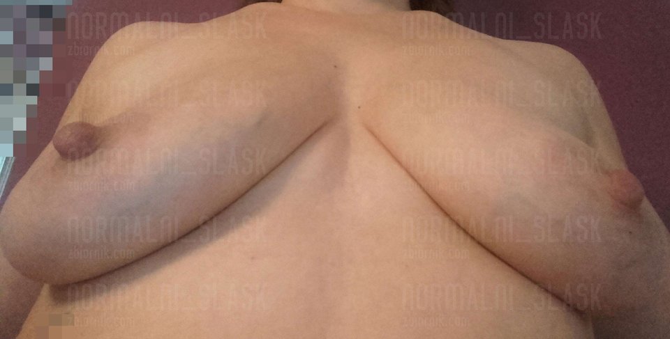 Schowek01ss.jpg - Normalni_slask