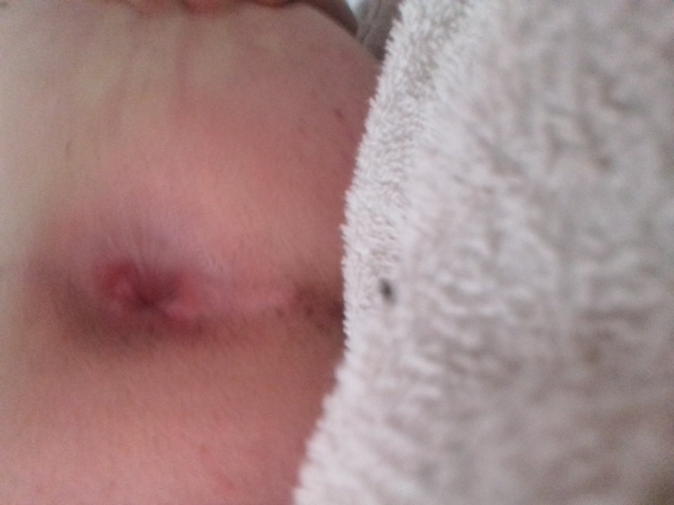 20181124_095502.jpg - maxanalmax