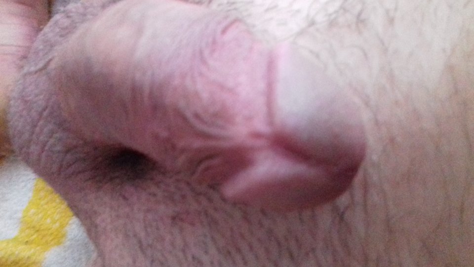 1543062841382-1340694371.jpg - maxanalmax