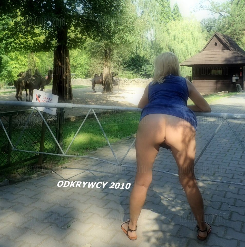 Podejdźcie .... - Odkrywcy2010