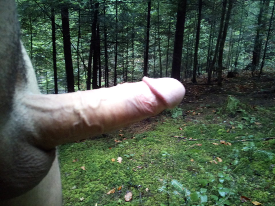 IMG_20181125_123922.jpg - bono1981