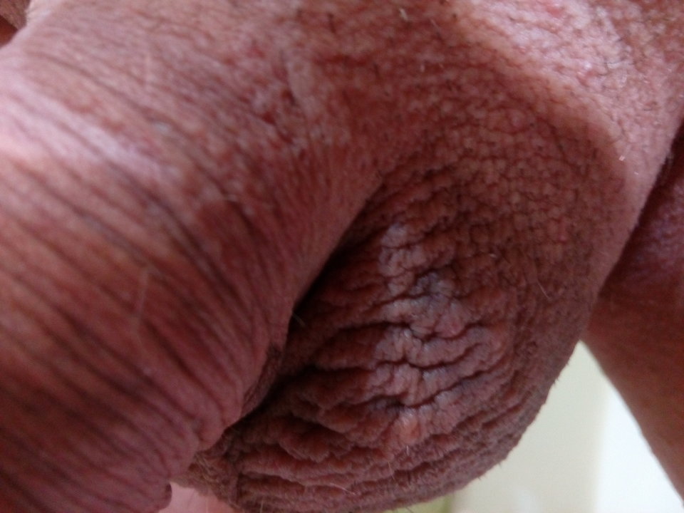 IMG_20181126_080031.jpg - matuzalem000