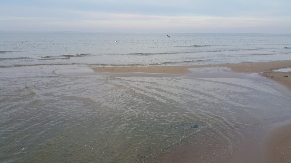 20181117_143153.jpg - reporter13