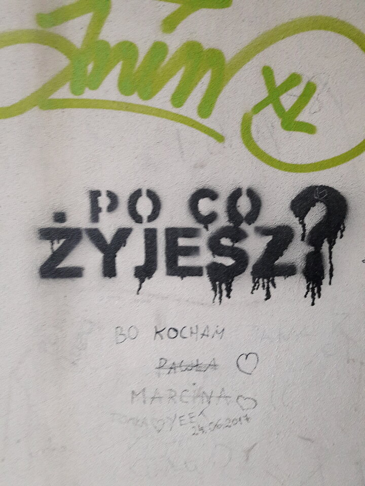 20181110_160411.jpg - Argument73