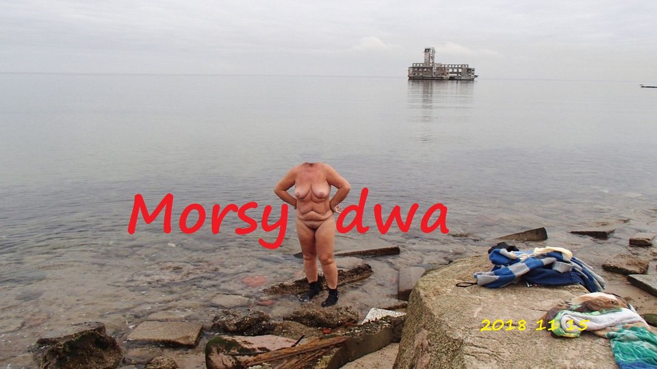 Babie Doły 15 XI 2018 - Morsy_dwa