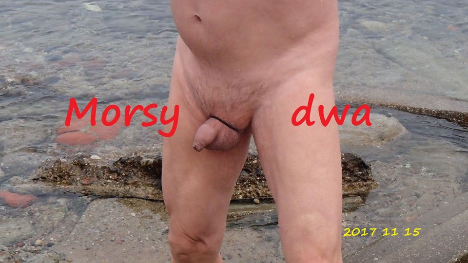 Babie Doły 15 XI 2018 - Morsy_dwa