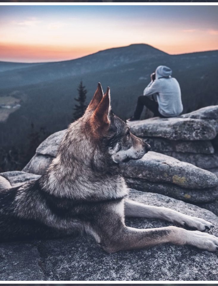 FA882C16-5E79-4968-A872-C3E91A910BF4.jpeg - kowalski519