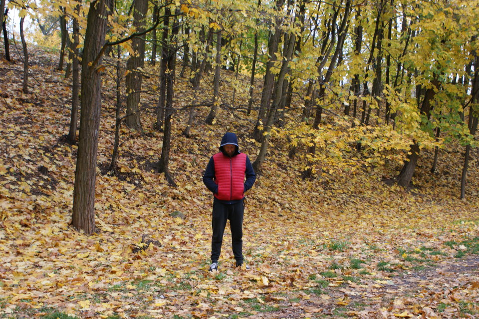 DSC03970.JPG - floo1