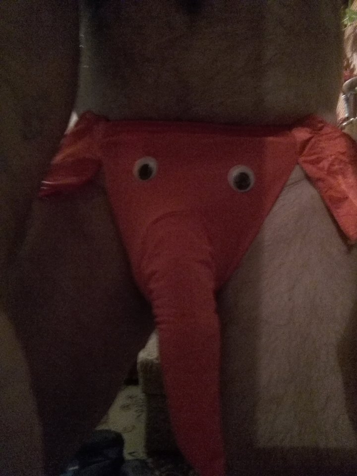 IMG_20180910_054039.jpg - lusi255