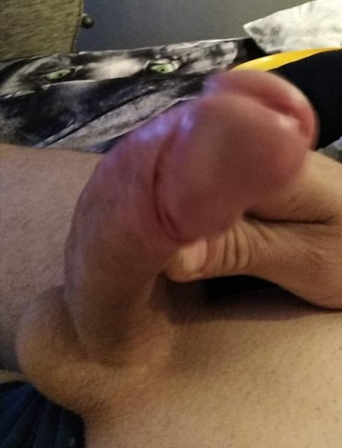 IMG_20181203_004715.jpg - gortacik