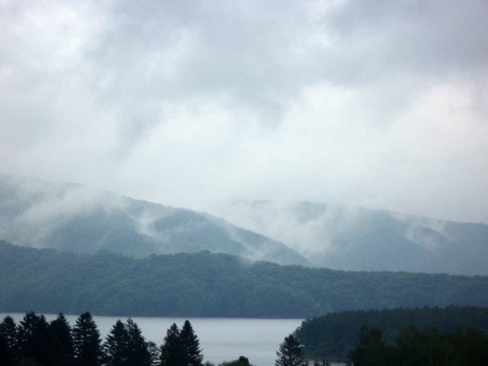 550488_378641152184372_1506791224_n.jpg - ap82