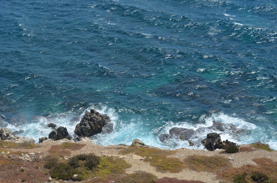 DSC_6769.JPG - Rafi1000