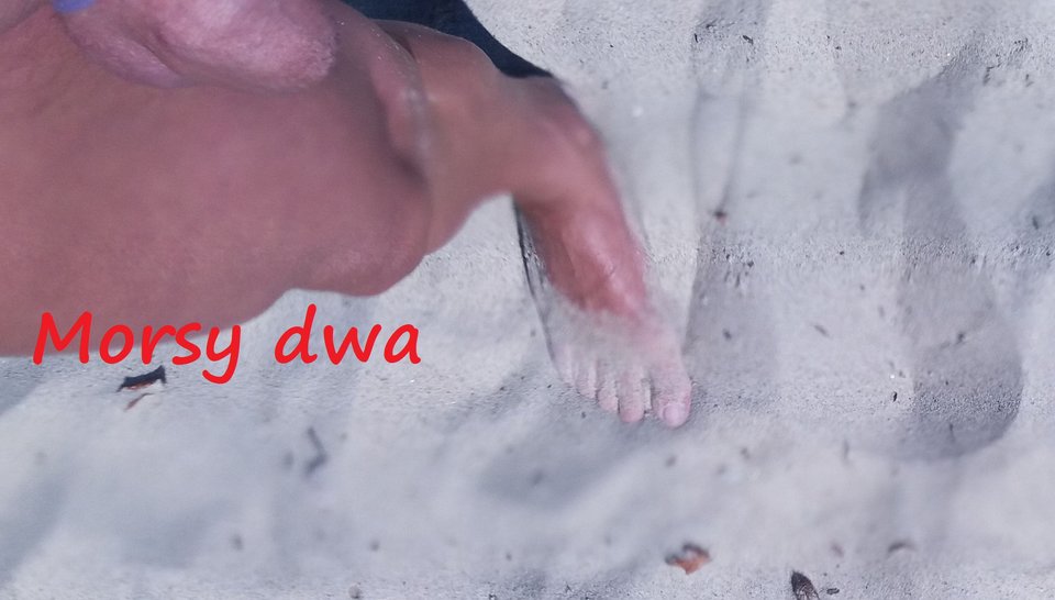Z remanentu. - Morsy_dwa