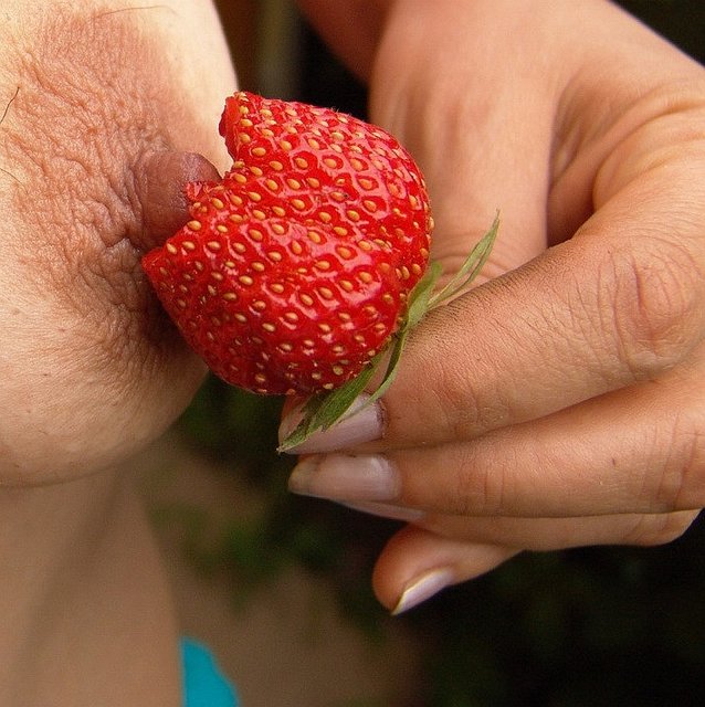 DSC01966-1r.jpg - mar1xxx