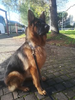 Jak dorosnę..... będę taki🤔😉🤗🤗🤗🤗