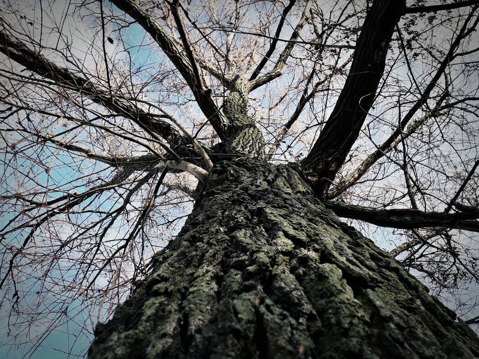 IMG_20181209_174013_285.jpg - Skorpion750