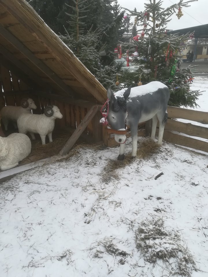 Moja obora - Bezniku12