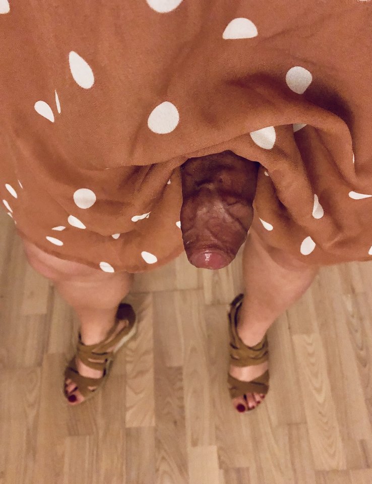 D53540FB-50B1-441C-94BD-86CDFBDC8607.jpeg - Kaytee