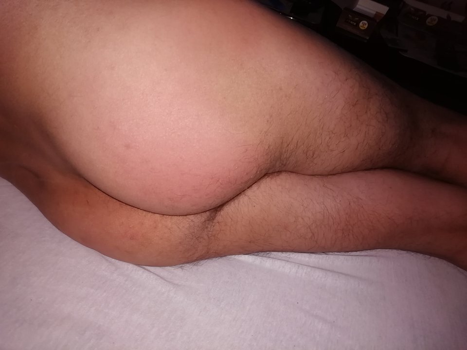 IMG_20181214_222748.jpg - bdsmuleglypies