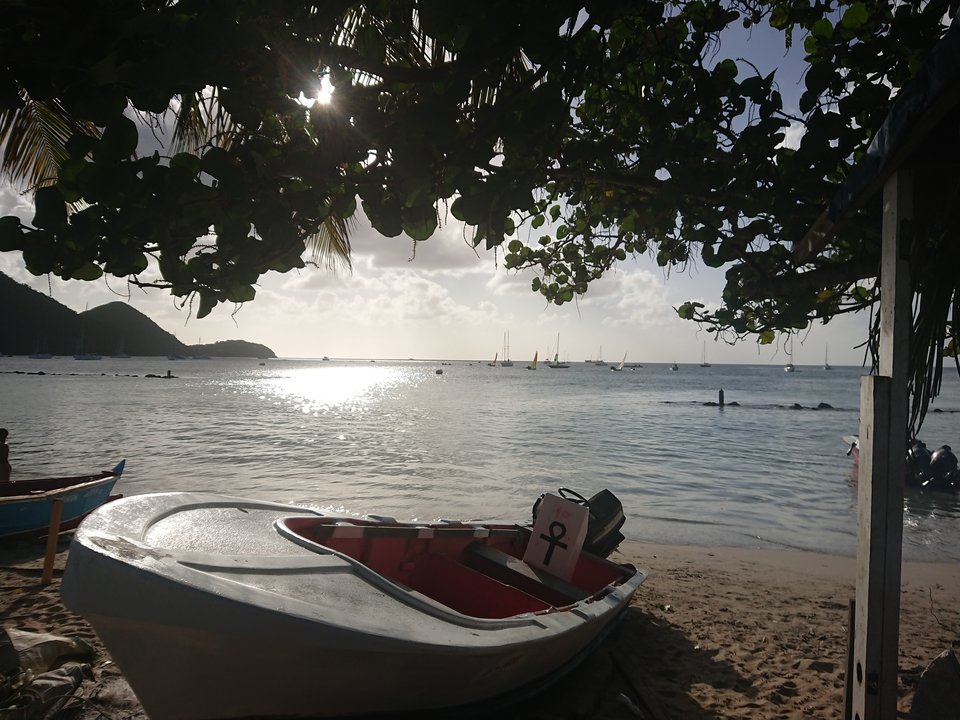 DSCPDC_0001_BURST20181215160201317.JPG - GGardnek