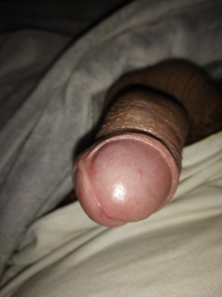 1545056619936946851376.jpg - Pataoo