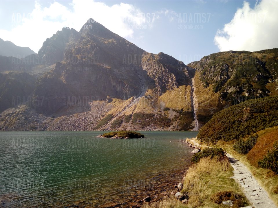 Gory....jpg - adams7