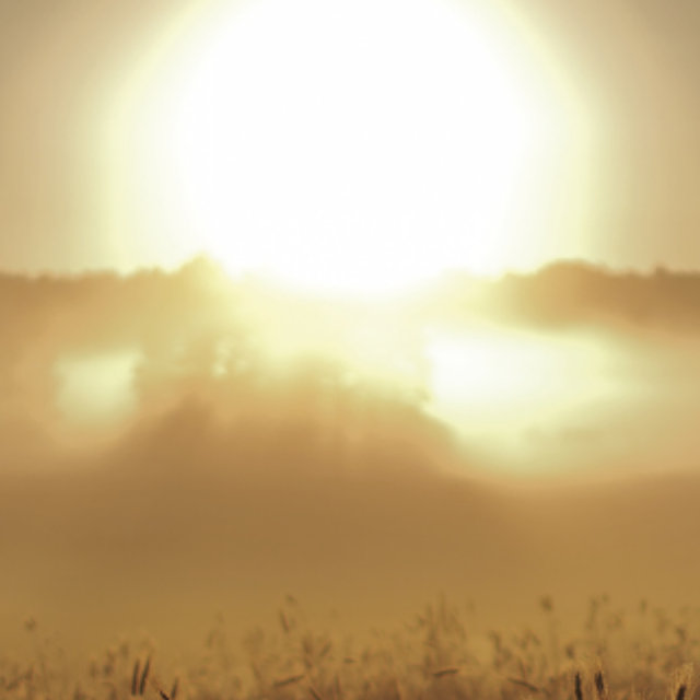 PhotoEditor_20181218_110526071.jpg - Zestesowany