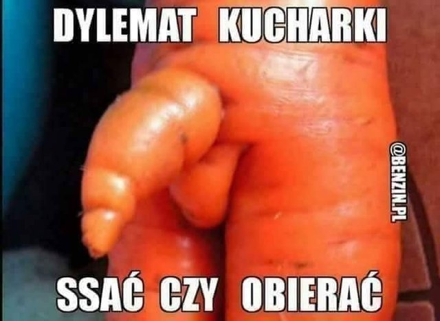 dylemat kucharki.jpg - Rosejolly2