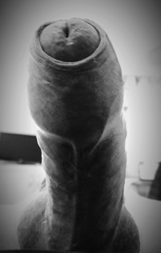 IMG_20181219_094857.jpg - apofek