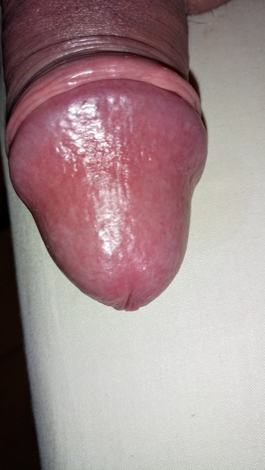 DSC_1373~2.JPG - artur42wawa