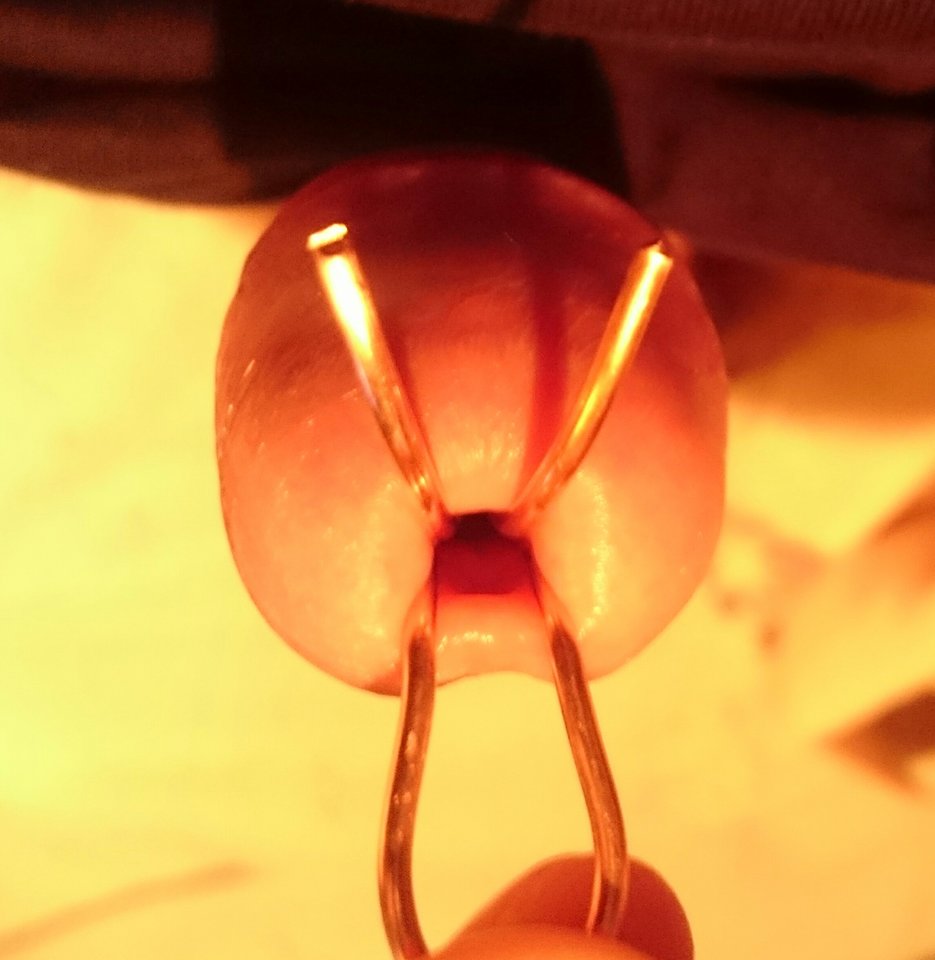 _20181219_192350.JPG - Jacencior