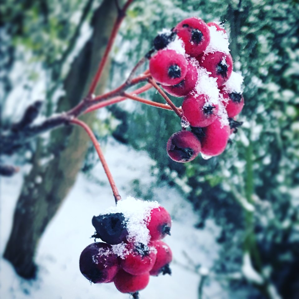 DDEFF95F-7939-4CFA-A56A-998027FAABD8.jpeg - Mekagojiranogyakushu