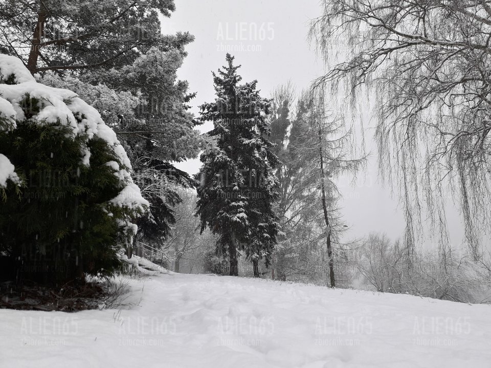 20181220_115219.jpg - Alien65