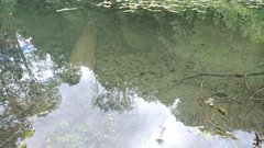 DSC_0928.JPG