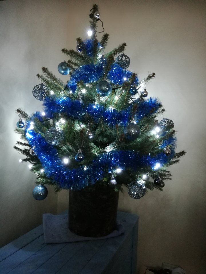 Wesołych Świąt - Diablica41