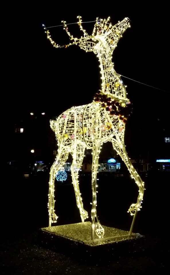 20181222_193846.jpg - Nice71