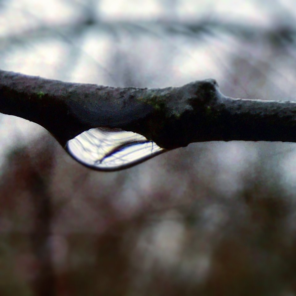 FB16B608-35FA-488E-A575-FDB6F57D6509.jpeg - Mekagojiranogyakushu