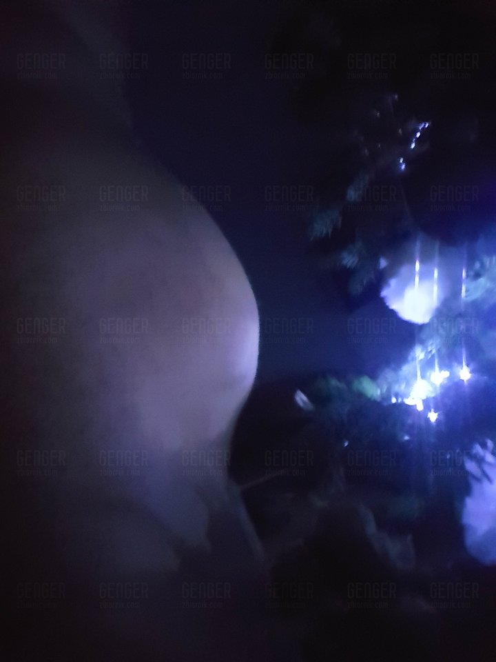 WESOŁYCH ŚWIĄT...... ho ho ho - genger