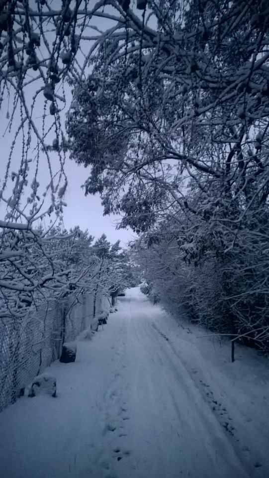 Śnieg po horyzont - Ratl