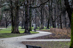 Śniegu nie dowieźli...