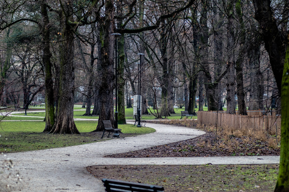 Śniegu nie dowieźli... - mystic