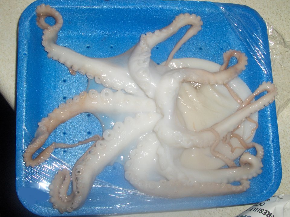 HPIM9148.JPG - ika13