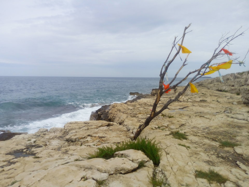 IMG_20160514_100346.jpg - irochese83